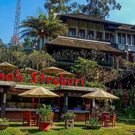 Rumah Stroberi Organic Farm & Family Lodge Lembang Exterior foto
