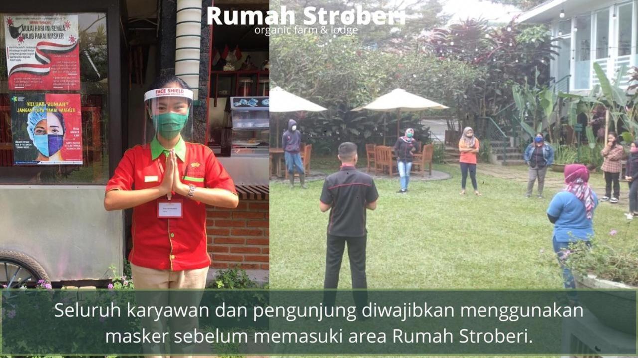 Rumah Stroberi Organic Farm & Family Lodge Lembang Exterior foto
