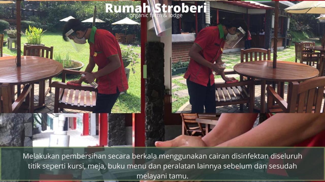 Rumah Stroberi Organic Farm & Family Lodge Lembang Exterior foto